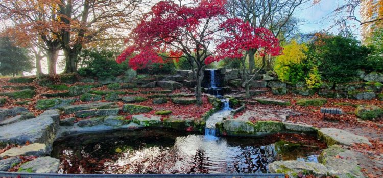 Clifton Park Rock Garden